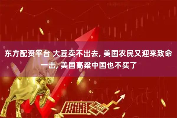 东方配资平台 大豆卖不出去, 美国农民又迎来致命一击, 美国高粱中国也不买了