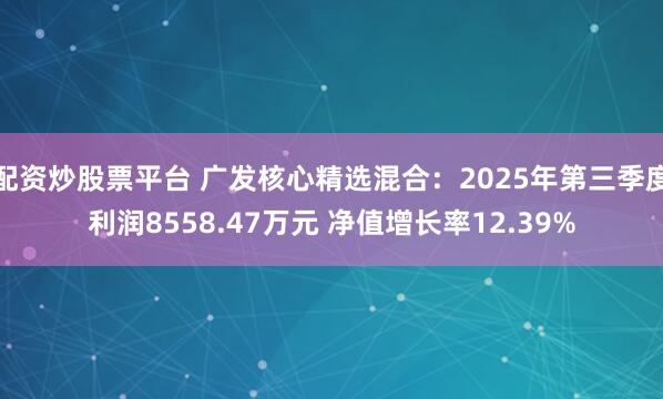 配资炒股票平台 广发核心精选混合：2025年第三季度利润8558.47万元 净值增长率12.39%