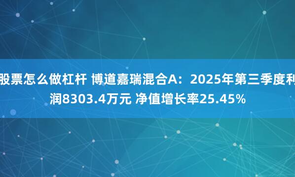 股票怎么做杠杆 博道嘉瑞混合A：2025年第三季度利润8303.4万元 净值增长率25.45%