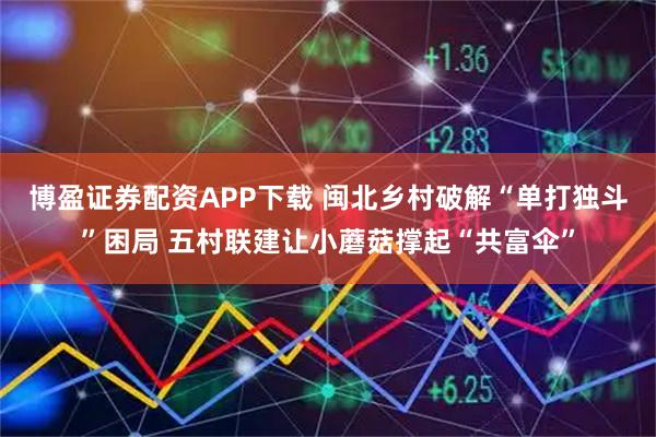 博盈证券配资APP下载 闽北乡村破解“单打独斗”困局 五村联建让小蘑菇撑起“共富伞”