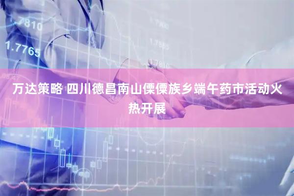 万达策略 四川德昌南山傈僳族乡端午药市活动火热开展